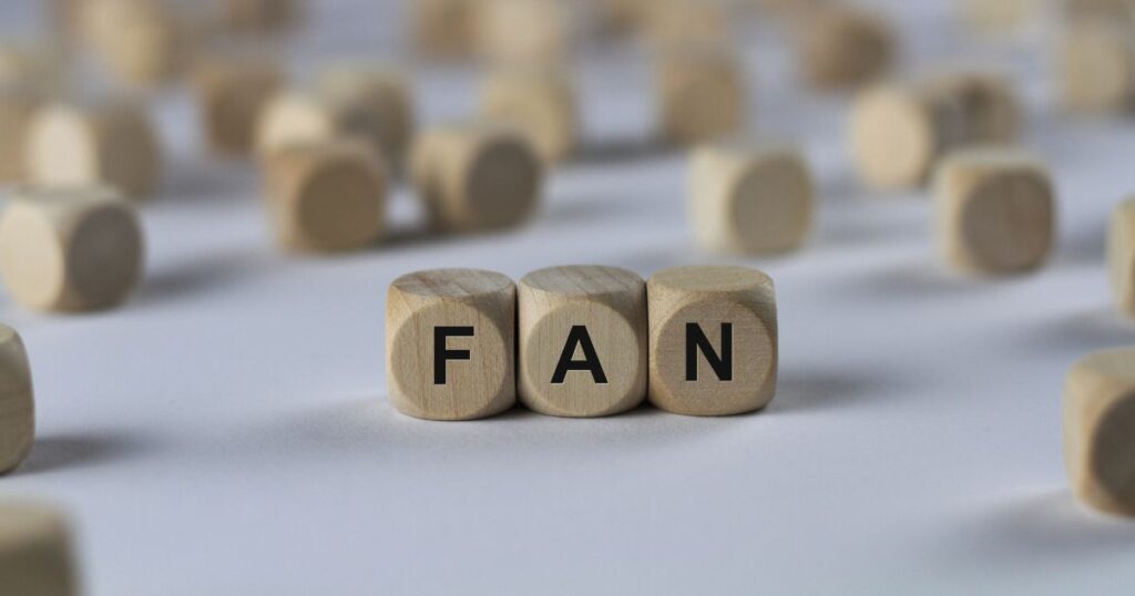 FANと書かれた木のブロック